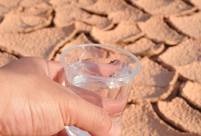 Stop Showerhead Savings From Drying Up