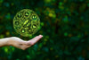Environmental Benefits